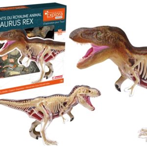 Paléontologie T-Rex
