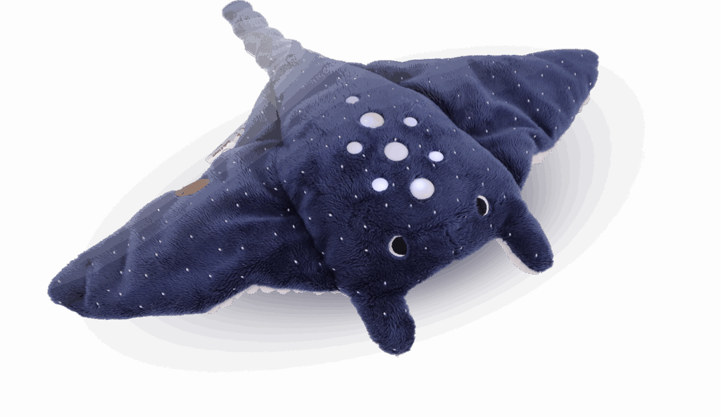 Raie dodo dreamer Dodo d'amour MGM